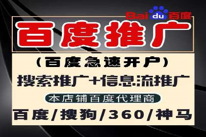 SEM运营公司案例研究：优化广告投放策略